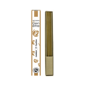 Aromambiance cannelle