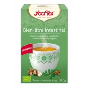 Bien-être intestinal boite de 17 sachets