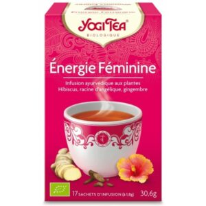 Energie féminine boite de 17 sachets