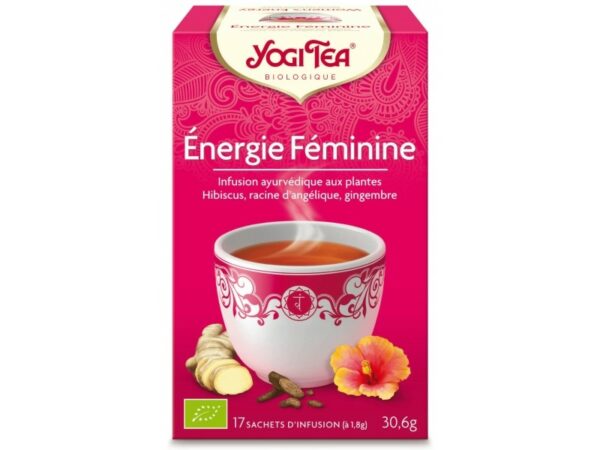 Energie féminine boite de 17 sachets