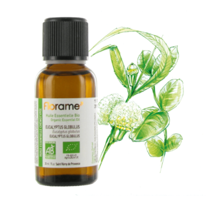 Huile essentielle d'Eucalyptus globulus 30ml