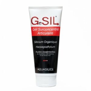 Gesil articulaire 200ml