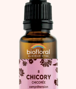 8 - Chicory Chicorée  20 ml