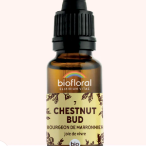 7 -  Chestnut Bud Bourgeons de Marronnier 20 ml