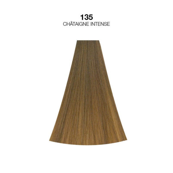 Coloration châtaigne intense DoussColor – Image 2