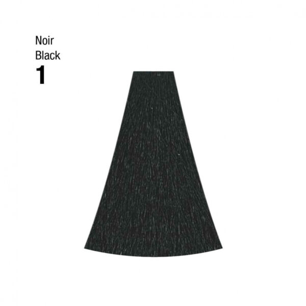 Coloration n°1 noir 120mL – Image 2