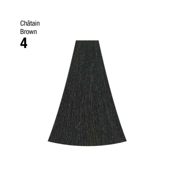Coloration n°4 chataîn 120mL – Image 2
