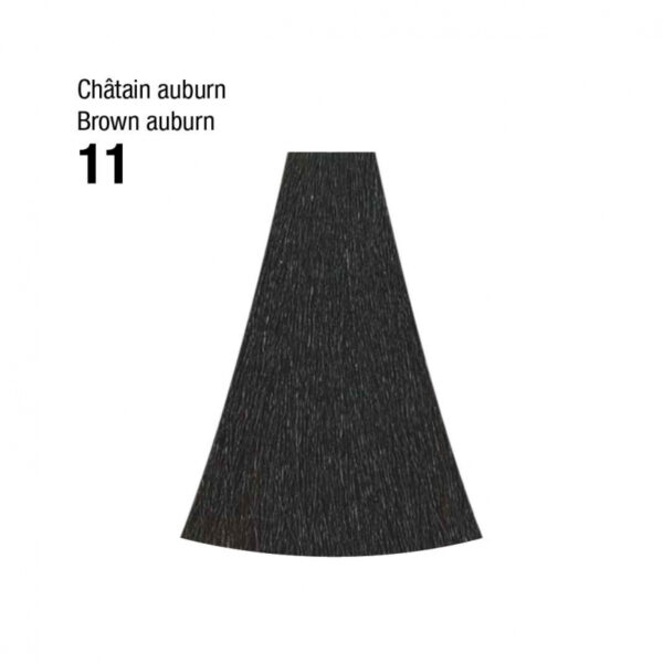 Coloration n°11 chatain auburn 120mL – Image 2