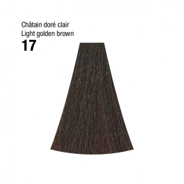 Coloration n°17 châtain doré clair 120mL – Image 2