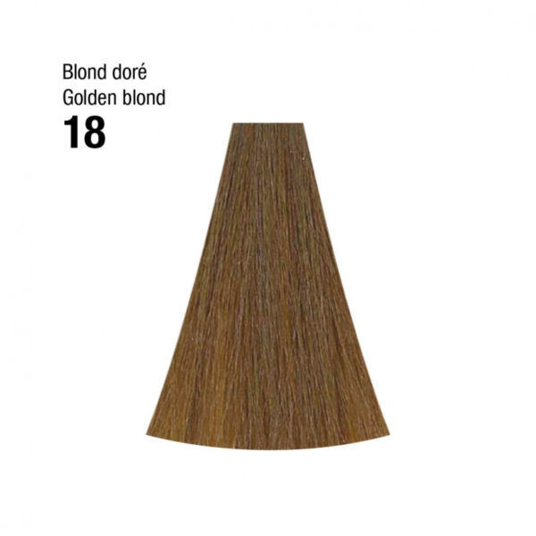 Coloration n°18 blond doré 120mL – Image 2