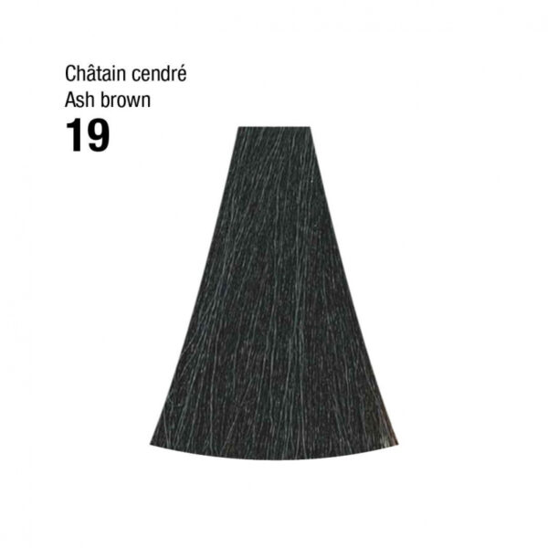 Coloration n°19 châtain cendré 120mL – Image 2