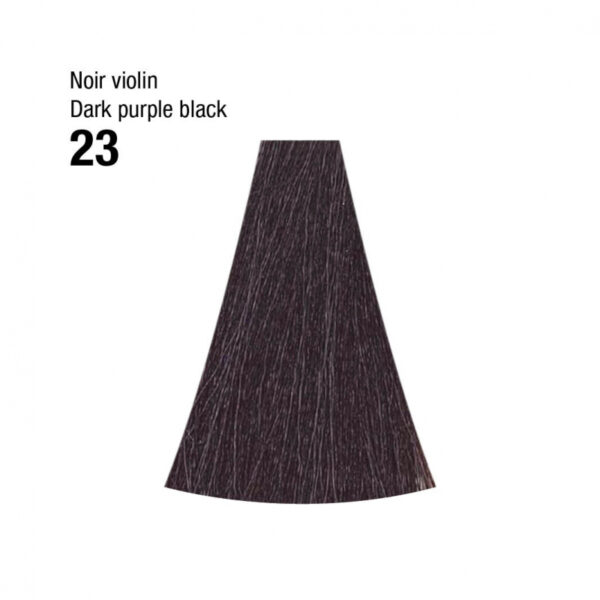 Coloration n°23 noir violine 120mL – Image 2
