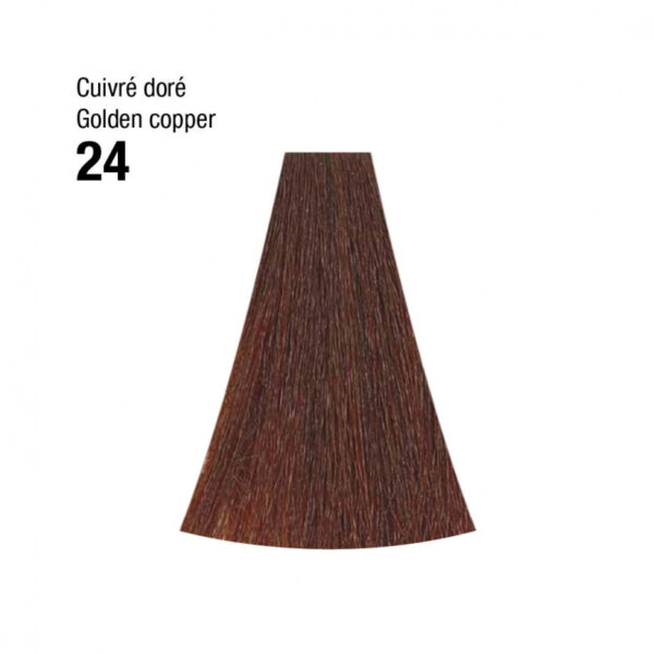 Coloration n°24 cuivré doré 120mL – Image 2