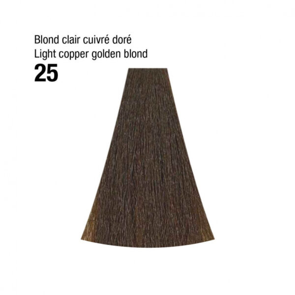 Coloration n°25 blond clair doré cuivré 120mL – Image 2