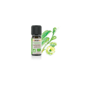 Huile essentielle d'Eucalyptus citriodora biologique 10ml