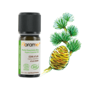 Huile essentielle de Cèdre Atlas biologique 10ml