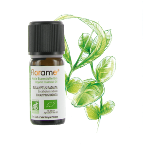 Huile essentielle d'Eucalyptus Radiata 10ml