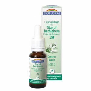 29- Star of bethlehem étoile de Béthléem 20ml