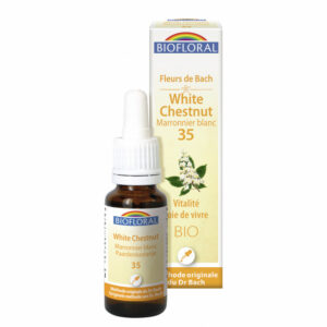 35 - White chesnut marronnier blanc 20ml