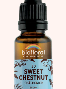30 - Sweet chesnut châtaignier 20ml