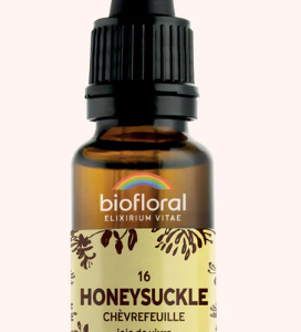 16 - Honeysuckle  Chèvrefeuille 20ml