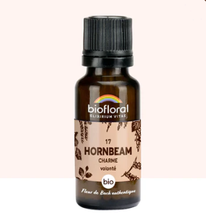 17 Hornbeam  Charme granules 10ml
