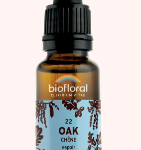 22 -Oak  Chêne 20ml