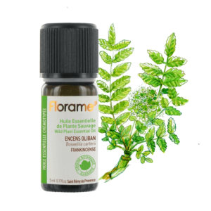 Huile essentielle d'Encens Oliban Sauvage 5ml