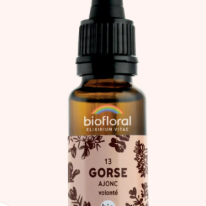 13 - Gorse Ajonc  20ml