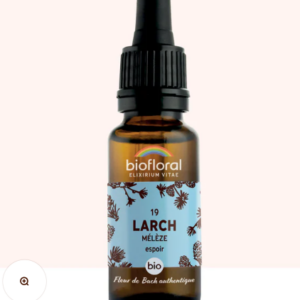 19 - Larch Mélèze 20ml