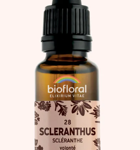 28 - Scleranthus scléranthe 20ml