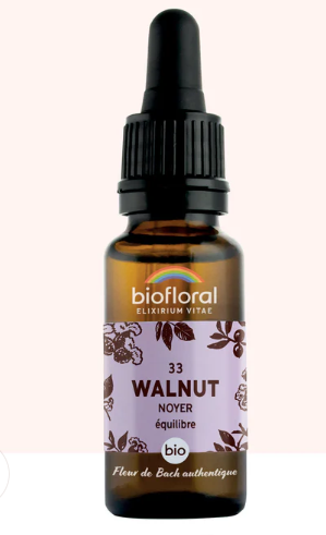33 - Walnut noyer 20ml