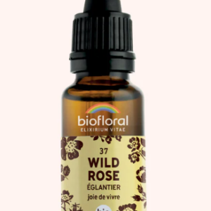 37 - Wild rose Eglantier 20ml