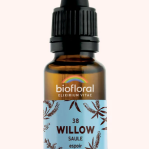 38 - Willow saule 20ml