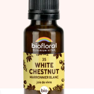 35GRA White chesnut marronnier blanc 10ml