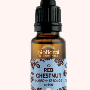 25 - Red chestnut Marronnier rouge 20ml