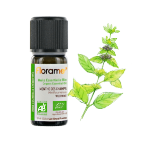 Huile essentielle de Menthe des Champs Biologique 10ml