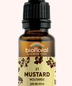 21 - Mustard  Moutarde 20ml