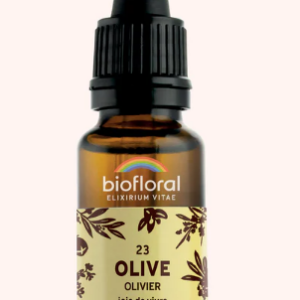 23 - Olive olivier 20ml