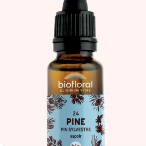 24 - Pine pin sylvestre 20ml