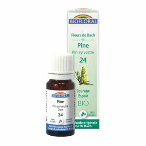 24GRA Pine pin sylvestre 10ml