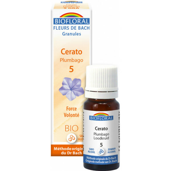5GRA Cerato Plumbago 10 ml