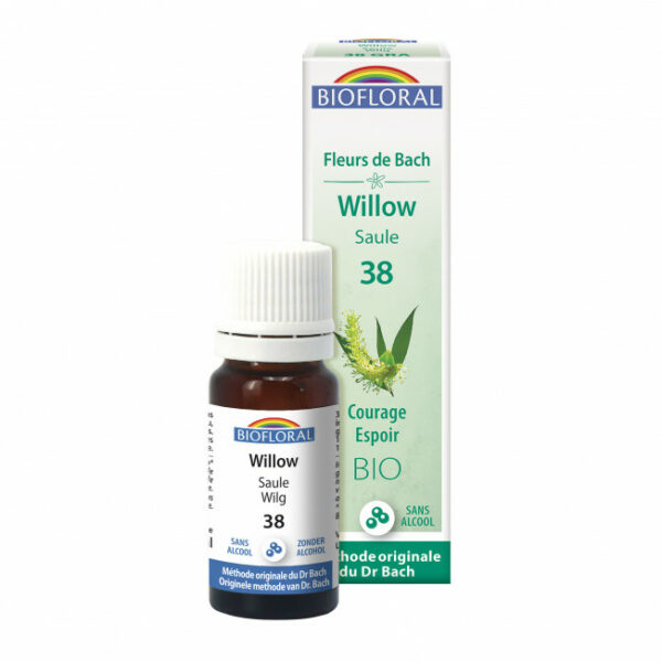 38GRA Willow saule 10ml