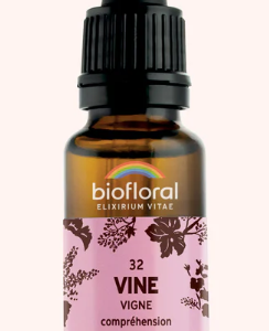 32 - Vine vigne 20ml