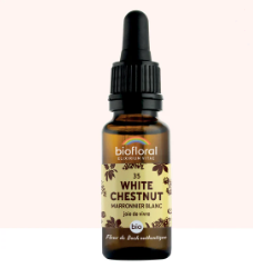 35 - White chesnut marronnier blanc 20ml