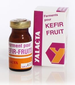 Ferment pour Kéfir de fruits 4g