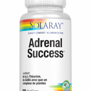Adrenal success boite de 60 capsules végétales
