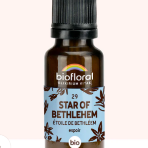 29- Star of bethléem granules  10ml
