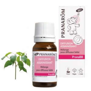 Diffusion assainissant 10ml
