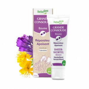 Baume Grande Consoude 50ml